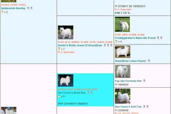 Ссылка на кракен kr2web in