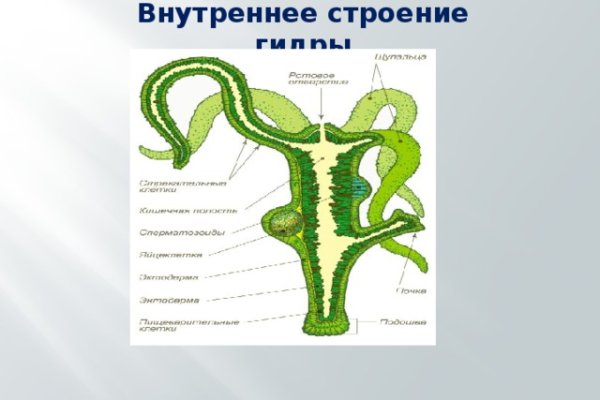 Кракен как зайти через тор браузер