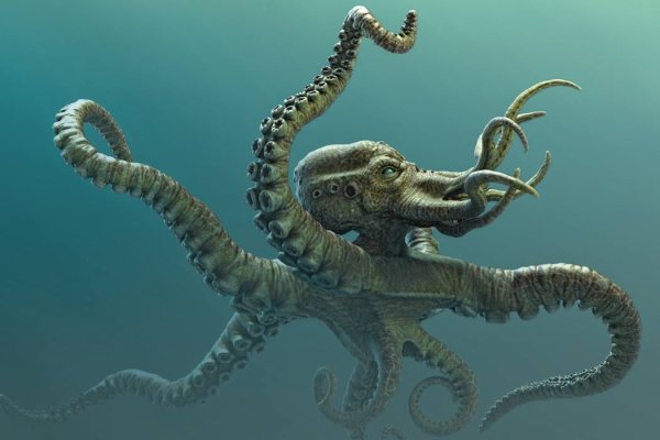 Kraken at зеркало