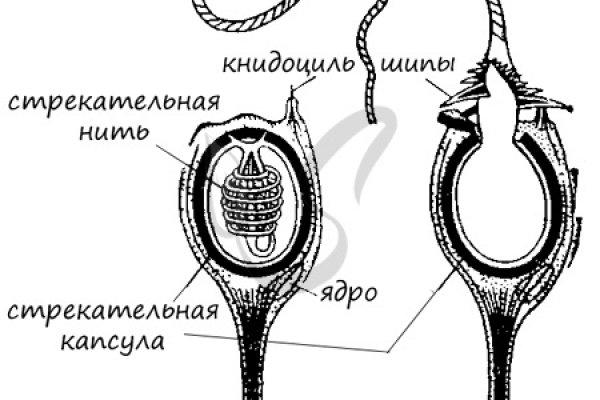 Кракен оф