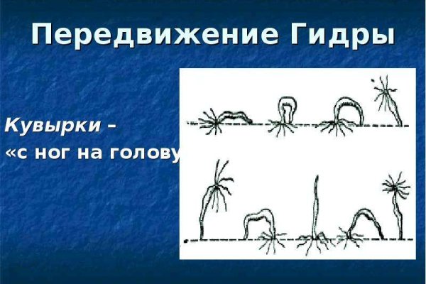 Кракен ссылка kraken dark link