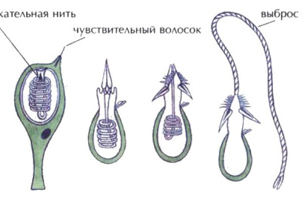 Кракен телеграмм магазин