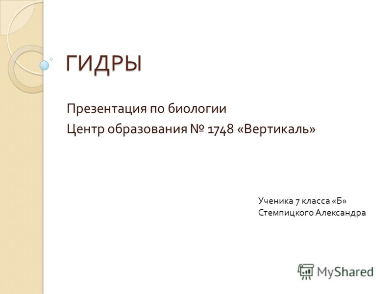 Кракен сайт что это